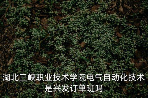 湖北三峽職業(yè)技術(shù)學(xué)院電氣自動(dòng)化技術(shù)是興發(fā)訂單班嗎