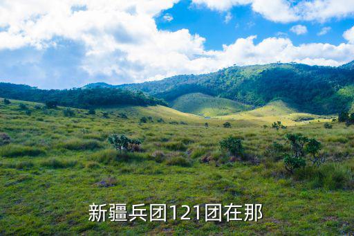 新疆兵團121團在那