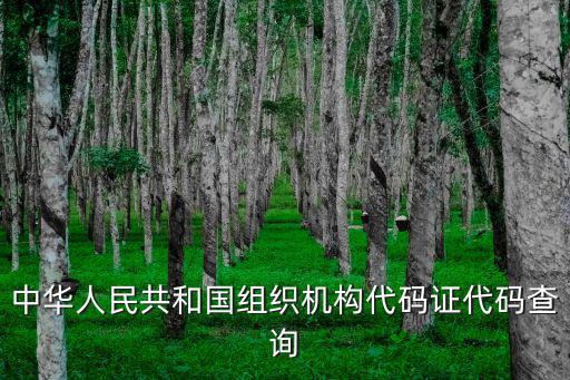 中華人民共和國組織機(jī)構(gòu)代碼證代碼查詢