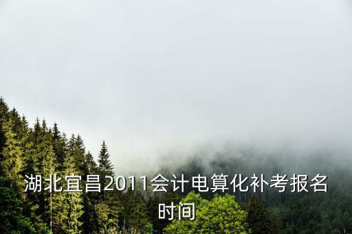 湖北宜昌2011會計電算化補考報名時間