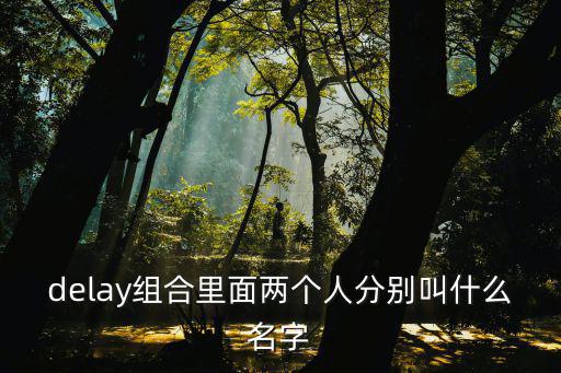 delay組合里面兩個(gè)人分別叫什么名字