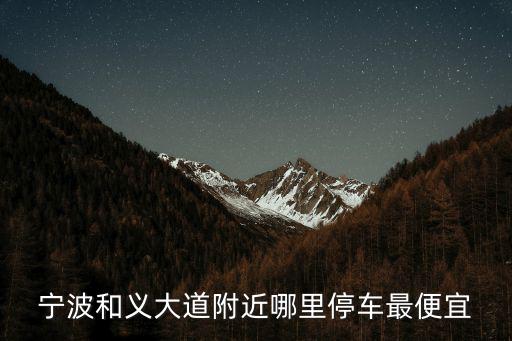 寧波和義大道附近哪里停車最便宜