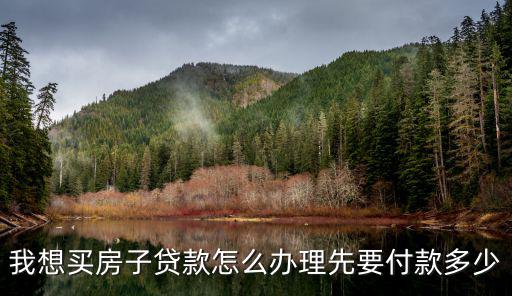我想買房子貸款怎么辦理先要付款多少