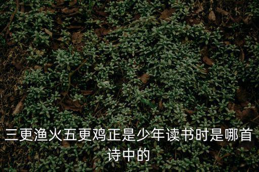 三更漁火五更雞正是少年讀書時是哪首詩中的