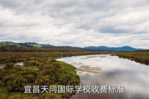 宜昌天問國際學校收費標準