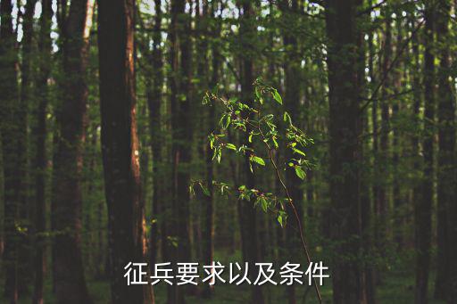 征兵要求以及條件
