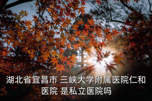 湖北省宜昌市 三峽大學附屬醫院仁和醫院 是私立醫院嗎