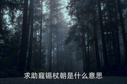 求助竉錫杖朝是什么意思