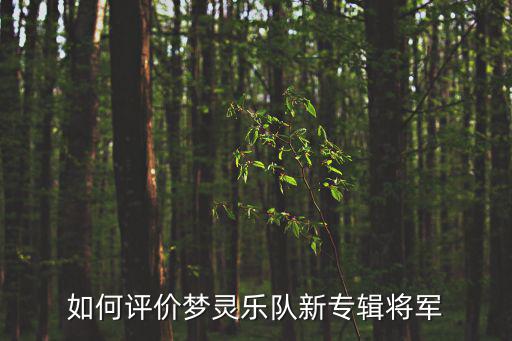 夢靈樂隊，如何評價夢靈樂隊新專輯將軍
