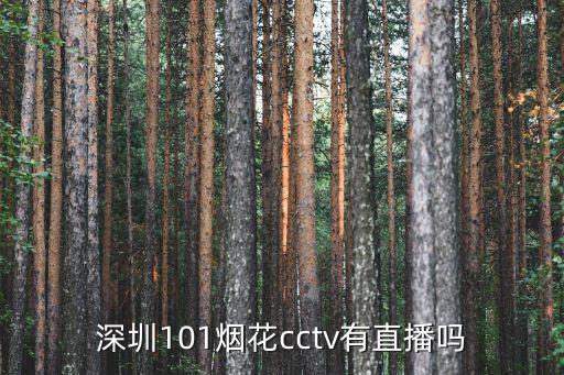 深圳101煙花cctv有直播嗎
