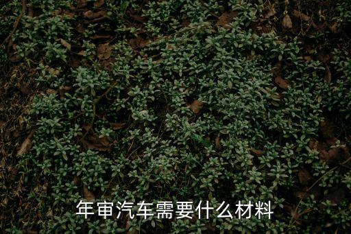 審車需要什么材料，車輛年檢需要帶那些材料