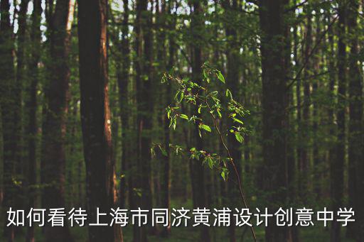 上海同濟(jì)大學(xué)官網(wǎng)，如何看待上海市同濟(jì)黃浦設(shè)計(jì)創(chuàng)意中學(xué)