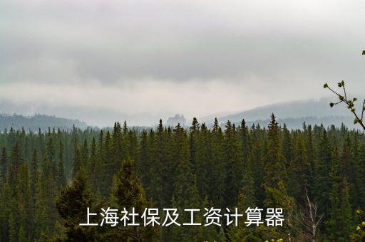 上海社保及工資計算器