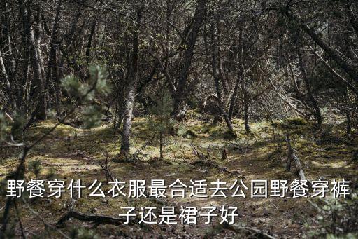 去公園野餐，去公園野餐應該準備些什么