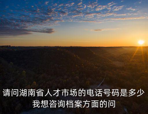 請問湖南省人才市場的電話號碼是多少我想咨詢檔案方面的問