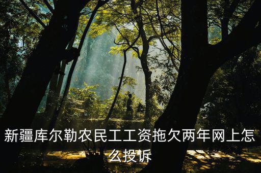 新疆庫(kù)爾勒農(nóng)民工工資拖欠兩年網(wǎng)上怎么投訴