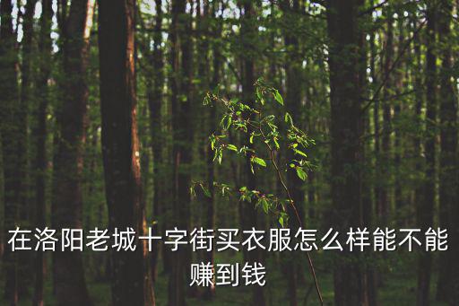 在洛陽老城十字街買衣服怎么樣能不能賺到錢