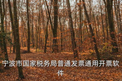 寧波市國家稅務(wù)局普通發(fā)票通用開票軟件