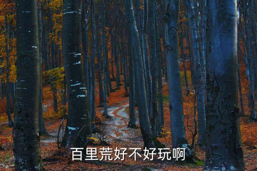 百里荒好不好玩啊