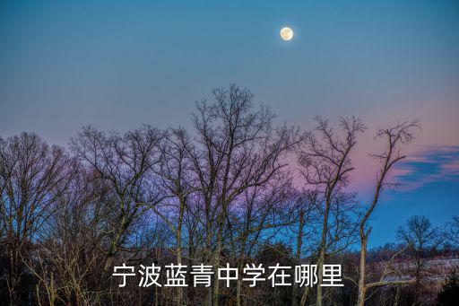 藍青中學，寧波藍青中學在哪里