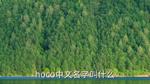 hoco，hoco中文名字叫什么