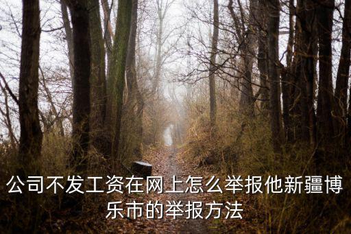 公司不發(fā)工資在網(wǎng)上怎么舉報(bào)他新疆博樂(lè)市的舉報(bào)方法