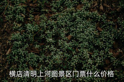 橫店清明上河圖，橫店清明上河圖怎么樣