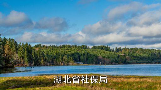 湖北省社保局