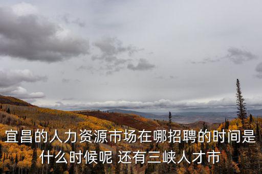 三峽人才，宜昌三峽人才市場在哪