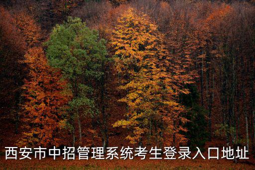 西安市中招管理系統考生登錄入口地址