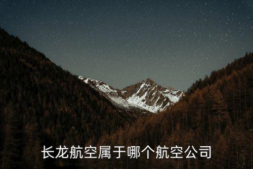 長龍航空屬于哪個航空公司