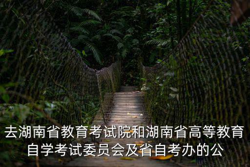 去湖南省教育考試院和湖南省高等教育自學考試委員會及省自考辦的公