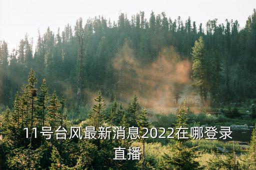 11號(hào)臺(tái)風(fēng)最新消息2022在哪登錄直播