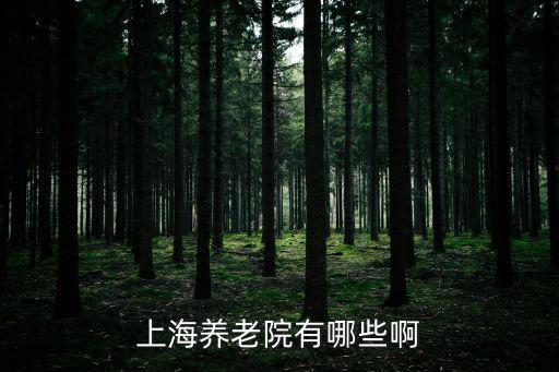 上海養老，上海養老院有哪些