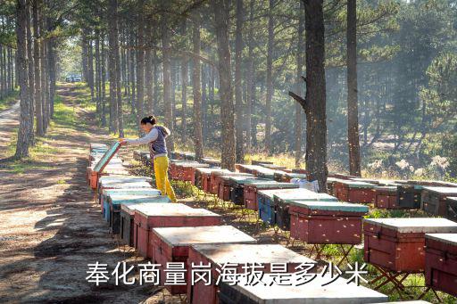 奉化商量崗海拔是多少米