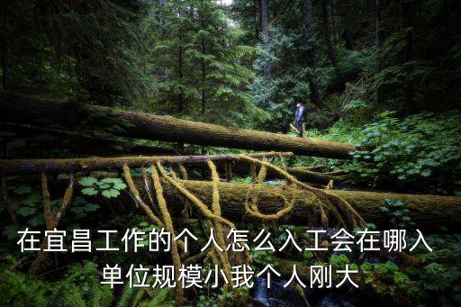 在宜昌工作的個人怎么入工會在哪入 單位規模小我個人剛大