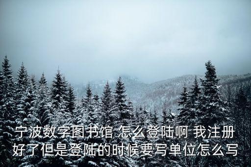 寧波數字圖書館 怎么登陸啊 我注冊好了但是登陸的時候要寫單位怎么寫