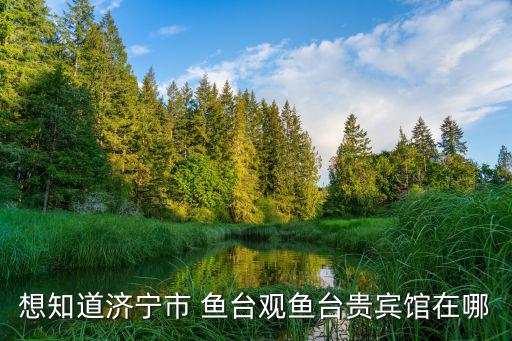 觀魚臺，觀魚臺有多少個臺階