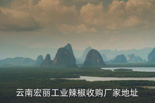云南宏麗工業(yè)辣椒收購(gòu)廠家地址