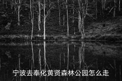 寧波去奉化黃賢森林公園怎么走