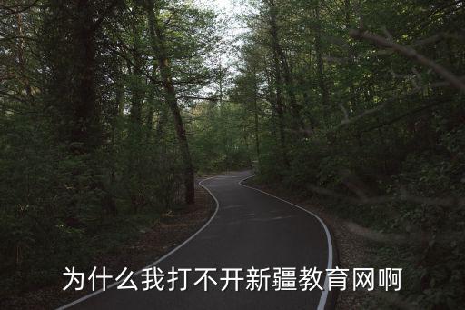 為什么我打不開新疆教育網啊