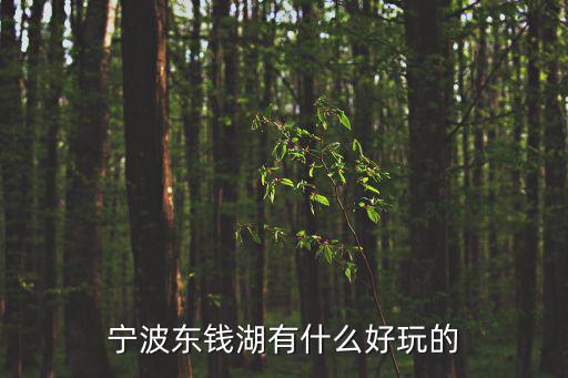 寧波東錢湖有什么好玩的
