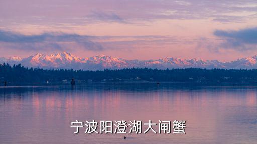寧波陽澄湖大閘蟹