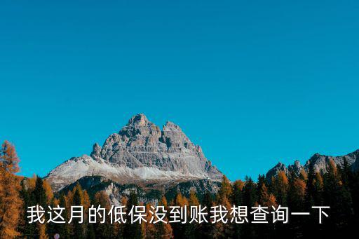 低保查詢個人賬戶查詢，我這月的低保沒到賬我想查詢一下