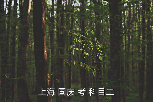 上海 國慶 考 科目二