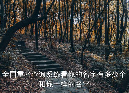 全國重名查詢系統看你的名字有多少個和你一樣的名字