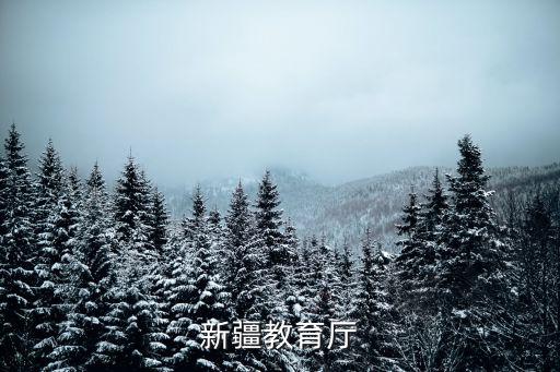 新疆教育廳