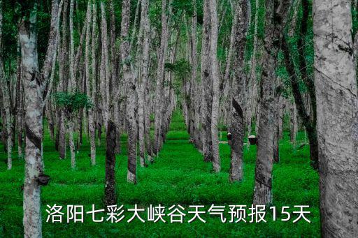洛陽七彩大峽谷天氣預報15天