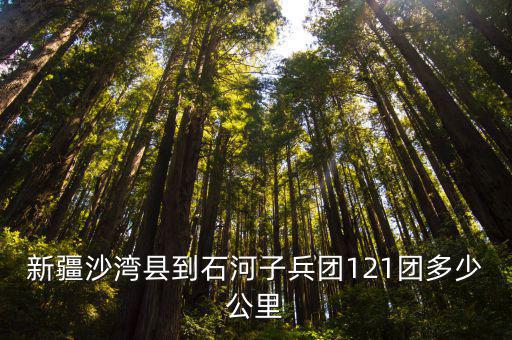 新疆沙灣縣到石河子兵團121團多少公里