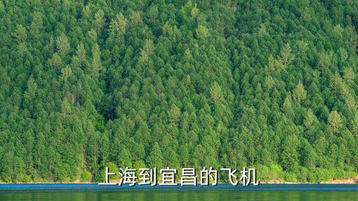 上海到宜昌的飛機